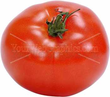 photo - tomato-2-jpg